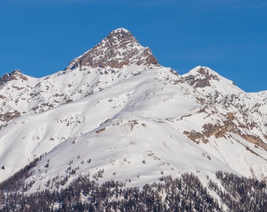 粉象生活粉丝怎么增加