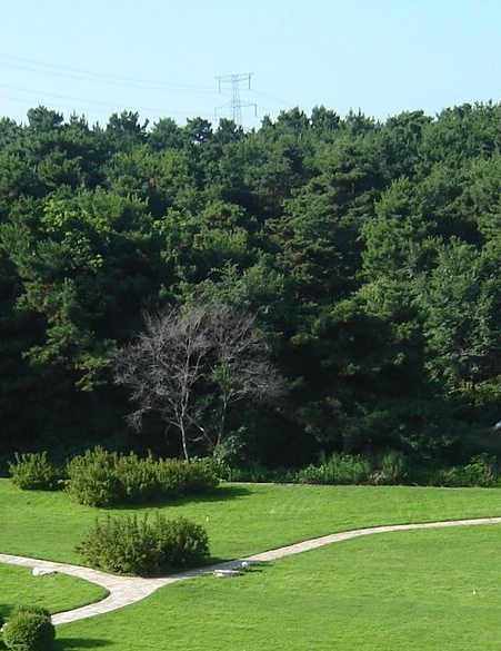 粉象生活赚百万