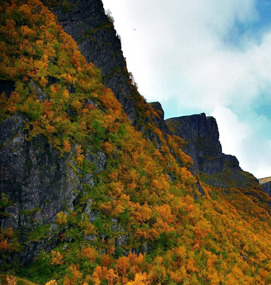 粉象生活对接平台