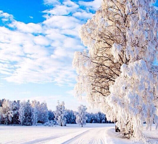 粉象生活必须要买会员吗