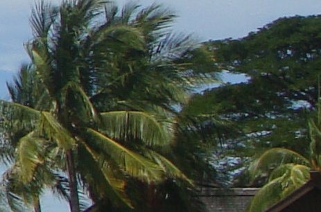 粉象生活咸鱼教程