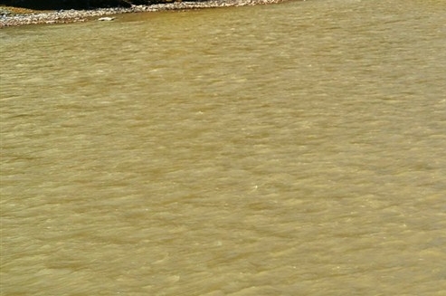 深粉象啤酒是几料