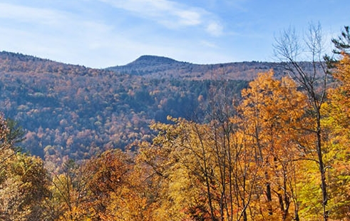 粉象 的高度啤酒