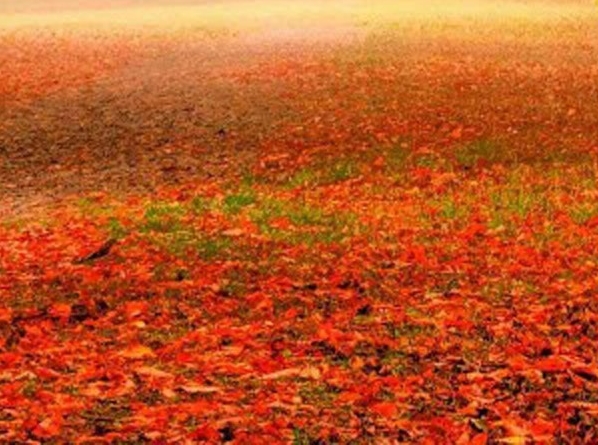 粉象生活怎么加入店铺