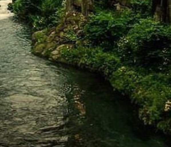 粉象生活加油怎么操作