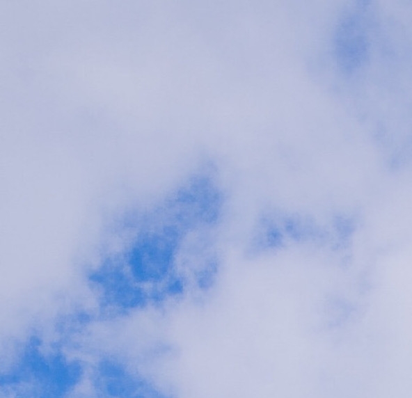 粉象生活退换货