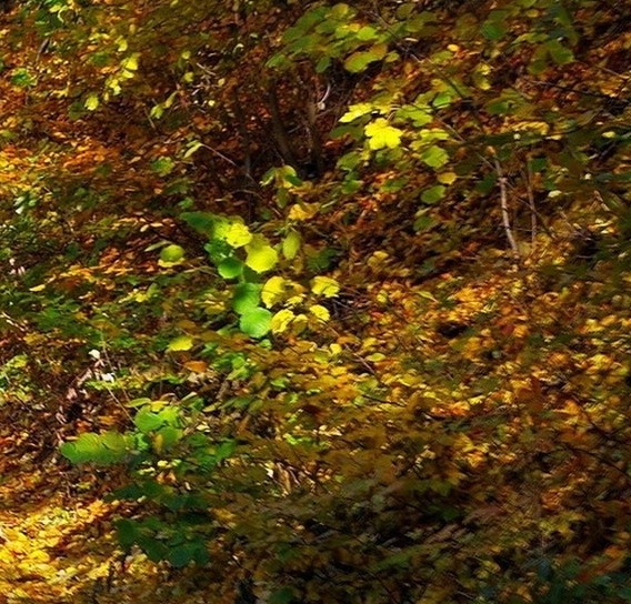 粉象生活送货到家怎么样