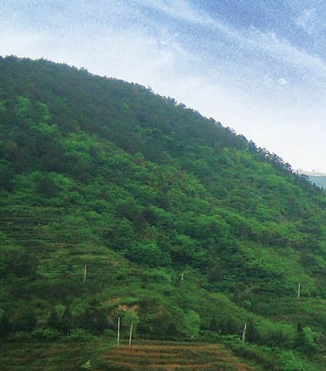 粉象生活合法么