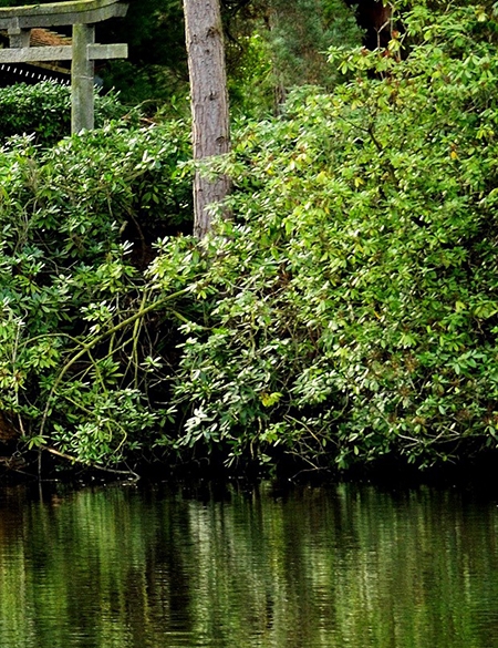 粉象生活做任务视频