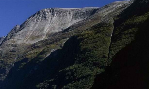 淘粉生活如何快速获得积分