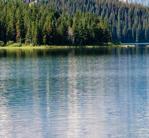 粉象生活有加油优惠