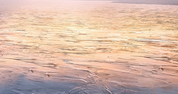 为什么基金预估和实际收益