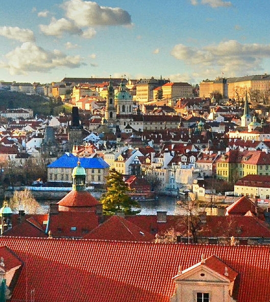 怎么解除粉象的上级