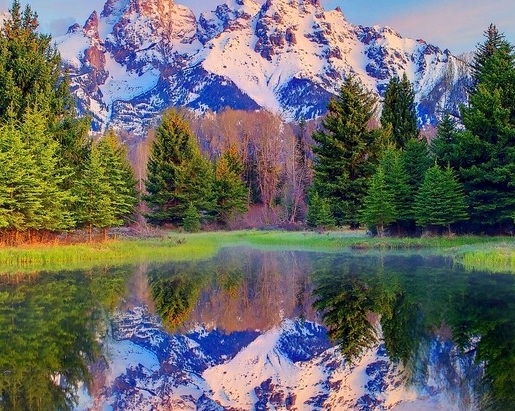 上海创新粉象生活好不好