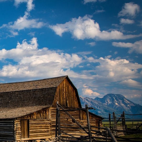 珠海粉象生活赚钱