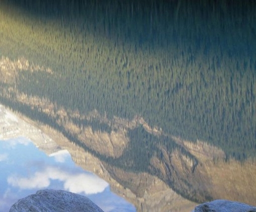 下载粉象生活App