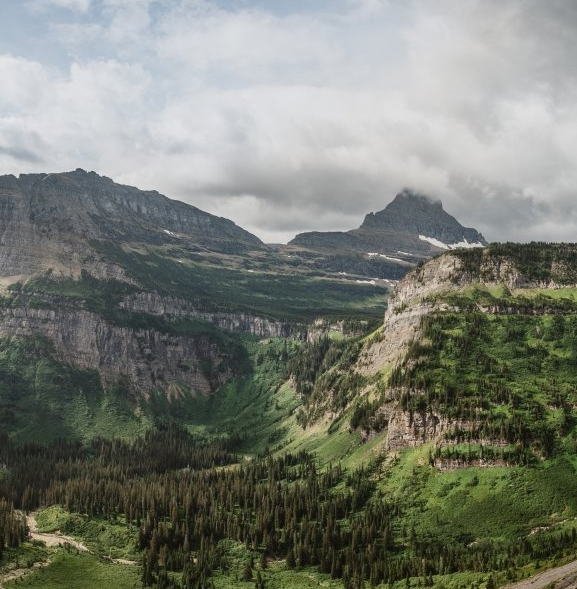 粉象生活自己创业