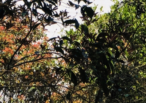 江西高端粉象生活网站