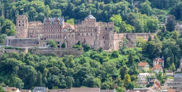 粉象生活代言什么