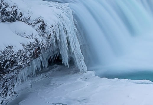 粉象生活粉丝怎么增加