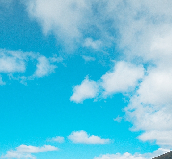 粉象生活平台运营