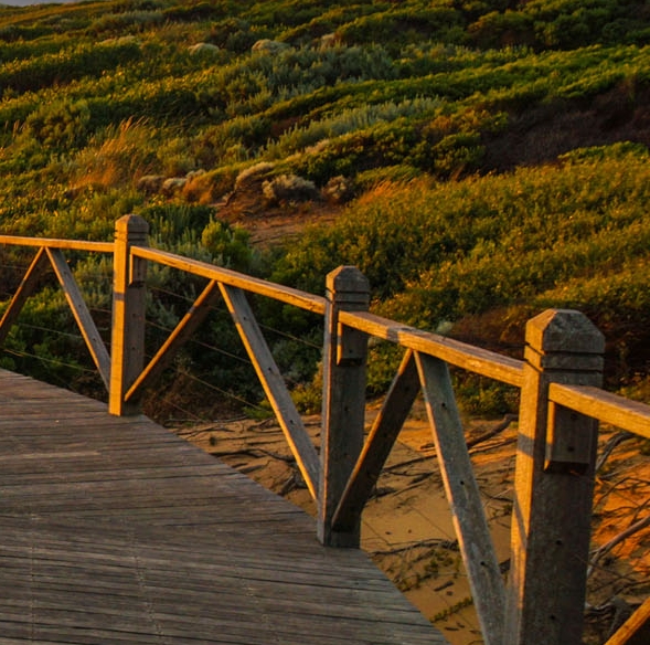 粉象生活商家佣金