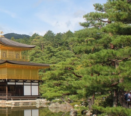 粉象生活值得购买吗