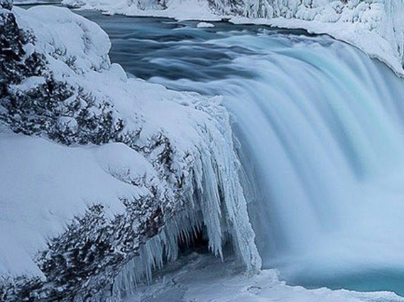 粉象生活怎样申请邀请码