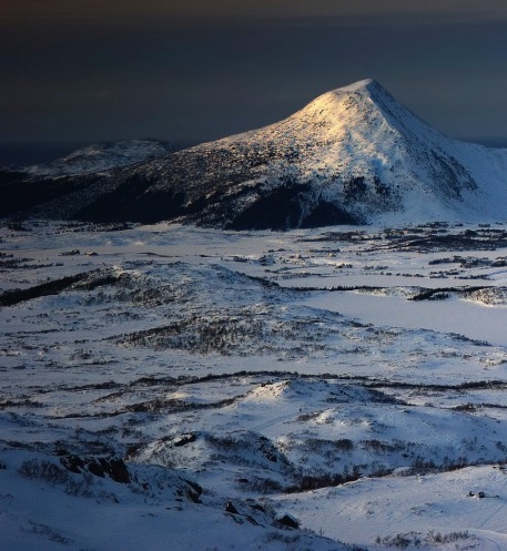粉象生活 如何注册