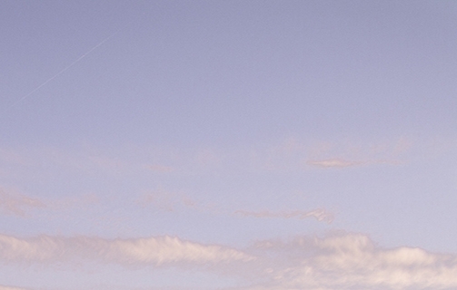 怎么在粉象生活里开店