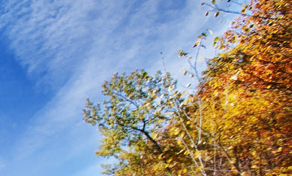 粉象生活怎么解绑淘宝账号