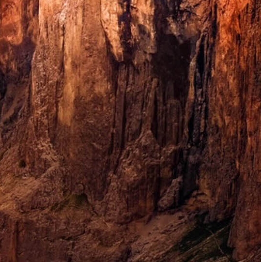 吉林正规粉象生活app