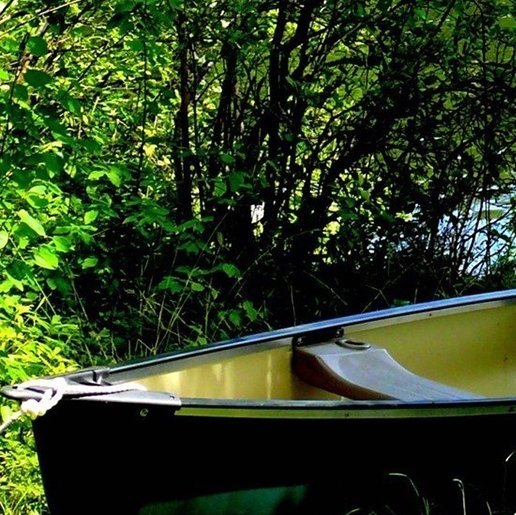 阳江粉象生活注册