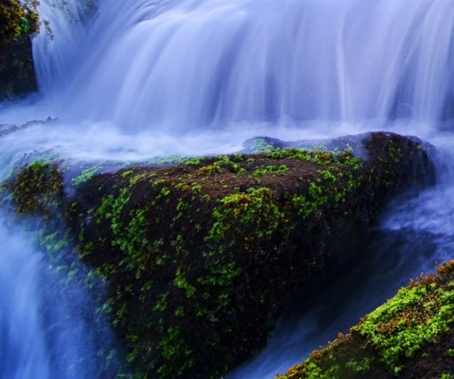 粉象生活怎样招粉丝