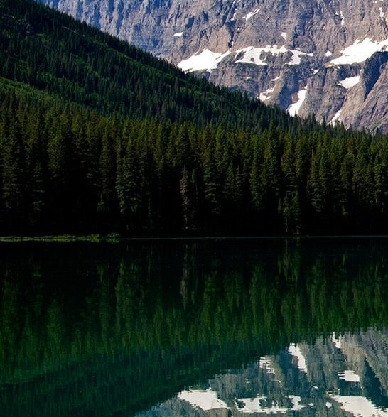 粉象生活怎么用淘宝