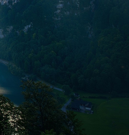 粉象生活是骗局