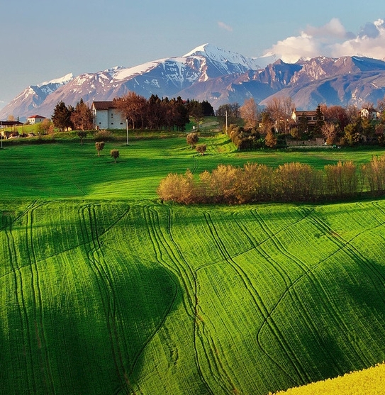 粉象生活卖水果