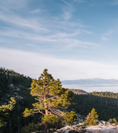 粉象生活邀请码自创