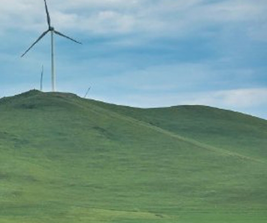 本夕生活怎么联系店铺