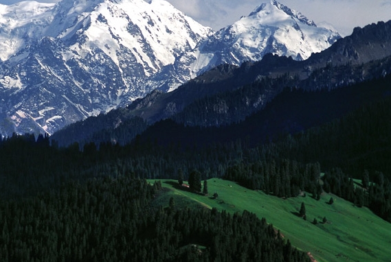 粉象生活解说视频