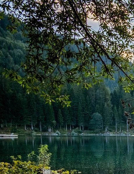 粉象生活的店铺怎么卖