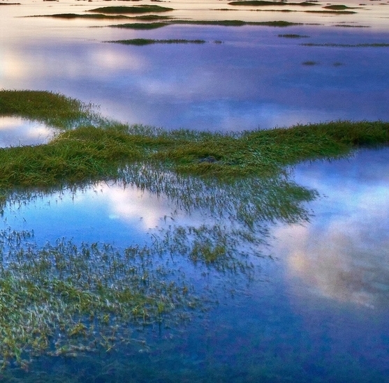 粉象生活logo头像