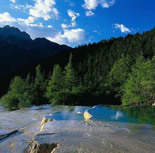 粉象生活哪年注册的