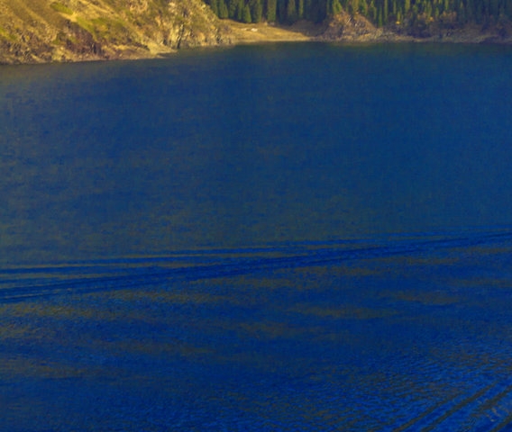 粉象生活新手怎么做