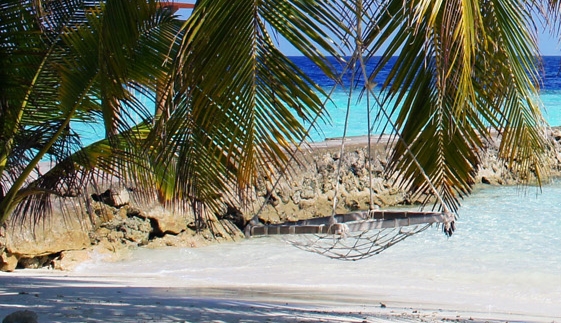 粉象生活邀请码