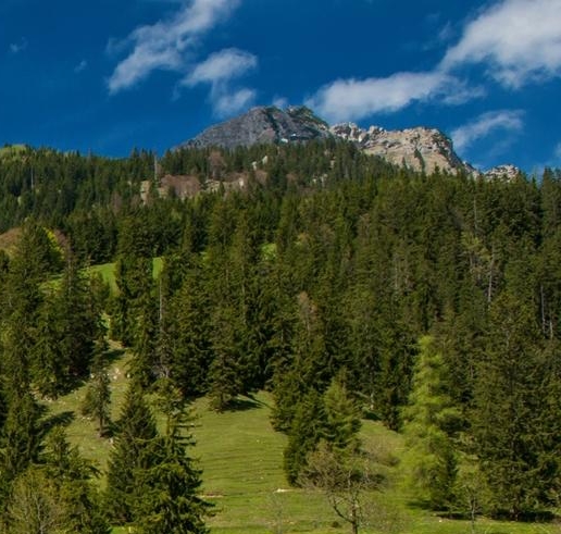 粉象生活粉丝怎么增加