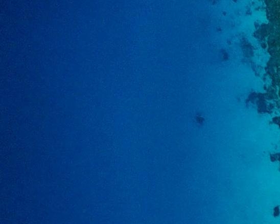 粉象生活如何购买的