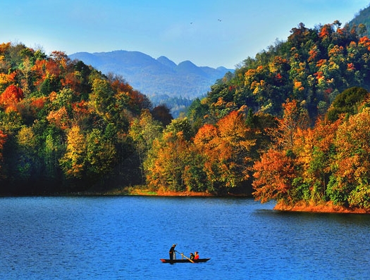 粉象生活是正规平台电商吗?