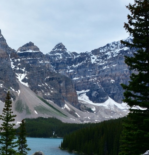 粉象生活现在的状况