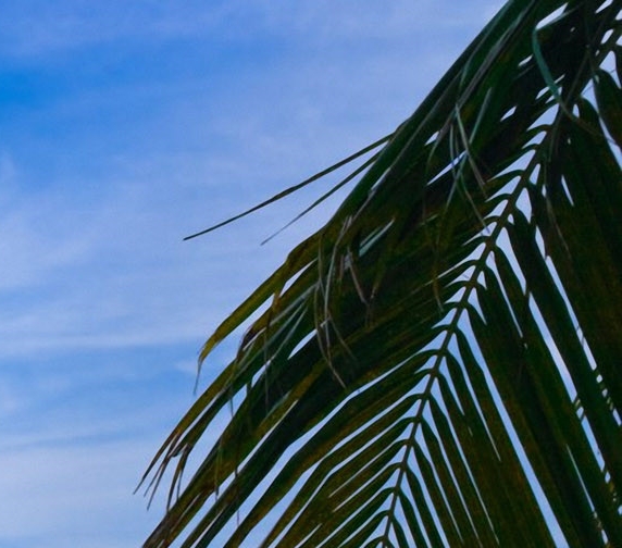 粉象生活雇佣金怎么提现